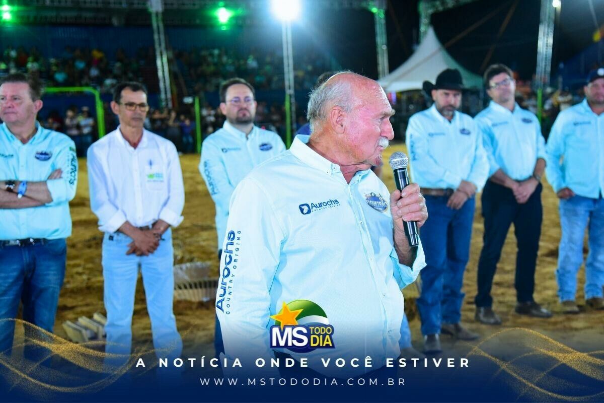 Imagem da Galeria